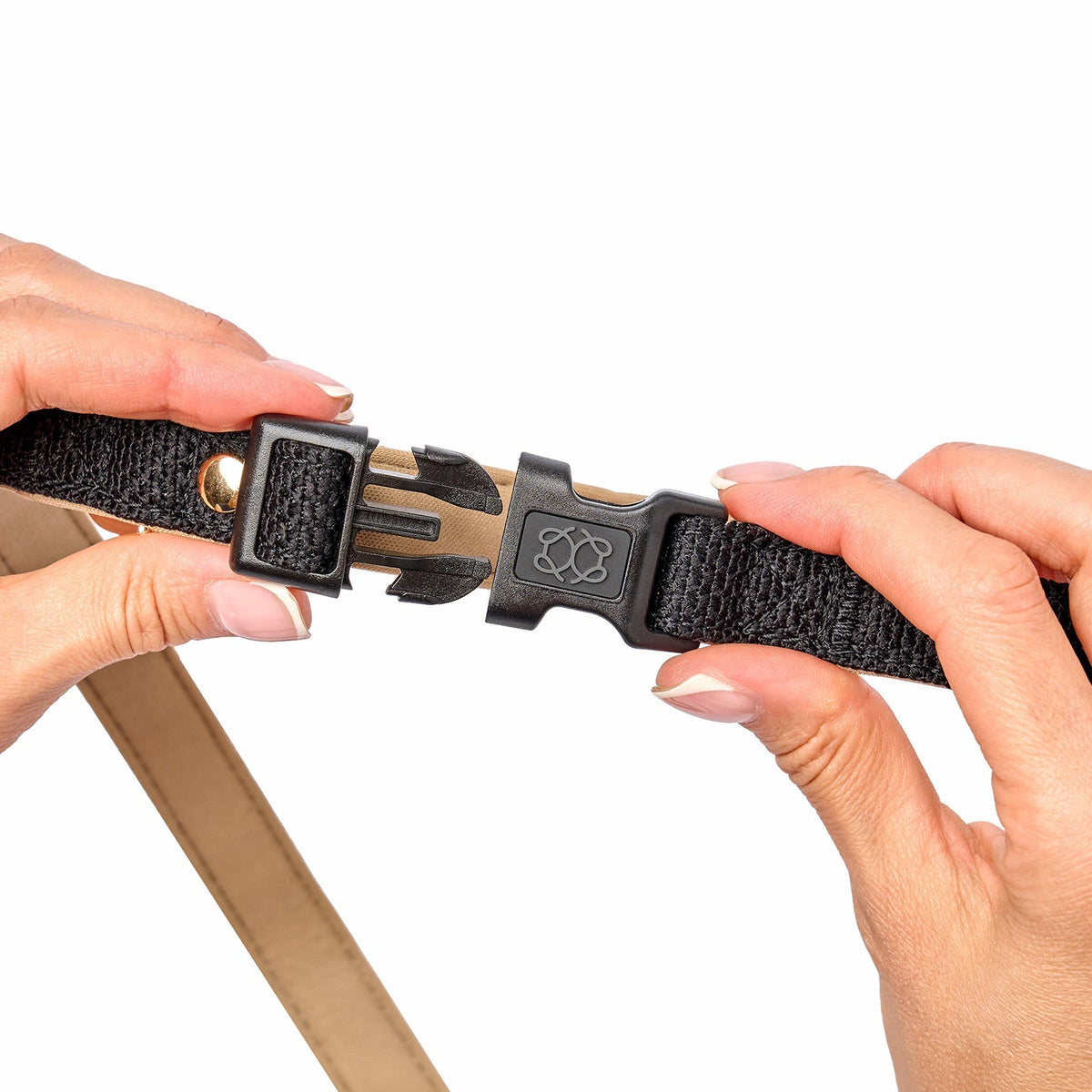 3-in-1 City Dog Leash - Crosby