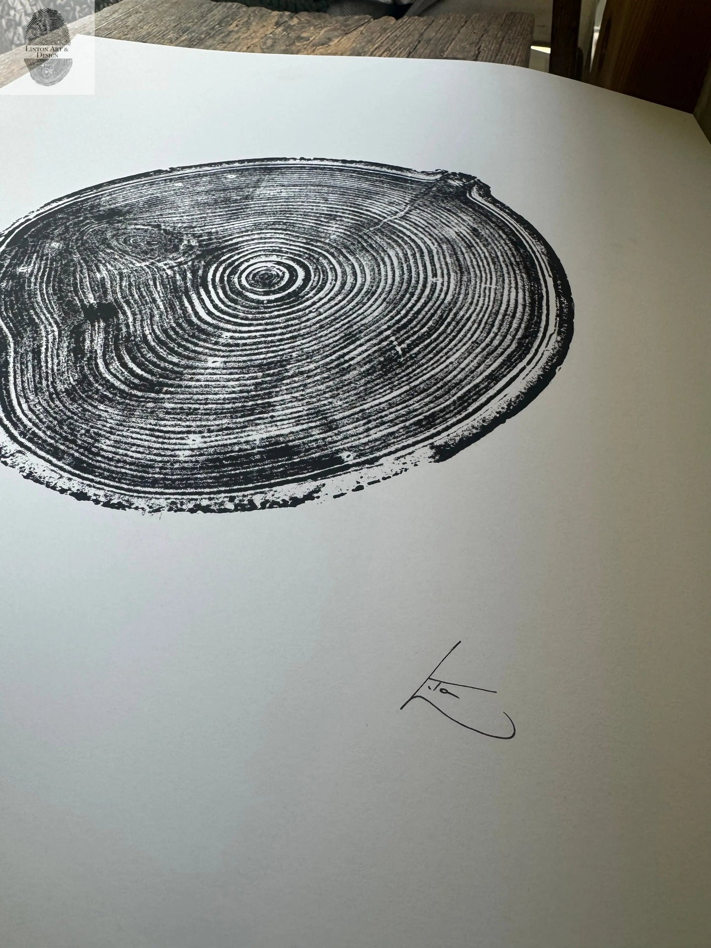 Aspen Tree Ring Print – Carson, New Mexico – 18x24 Original Signed Woodcut