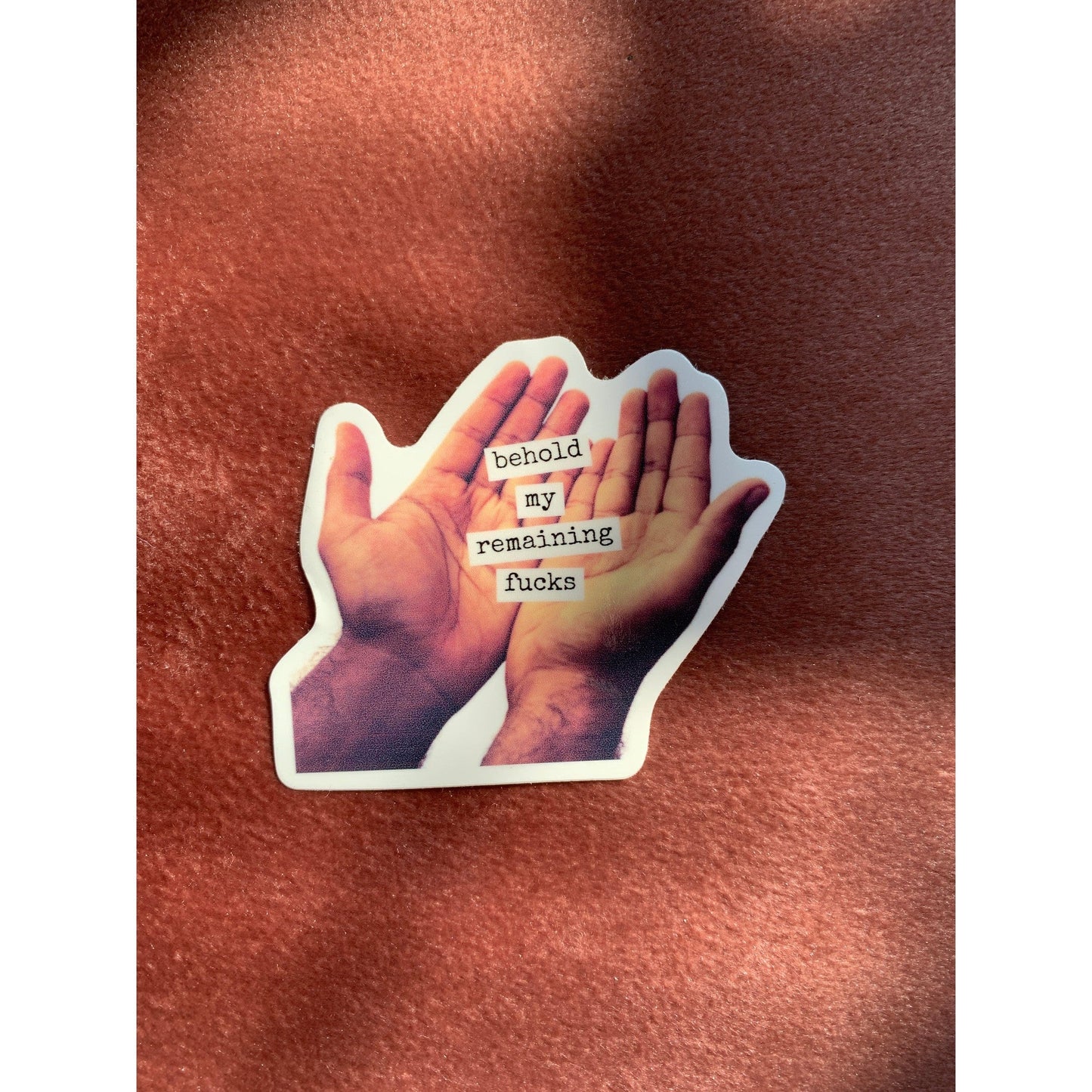 Behold My Remaining Fucks Sticker