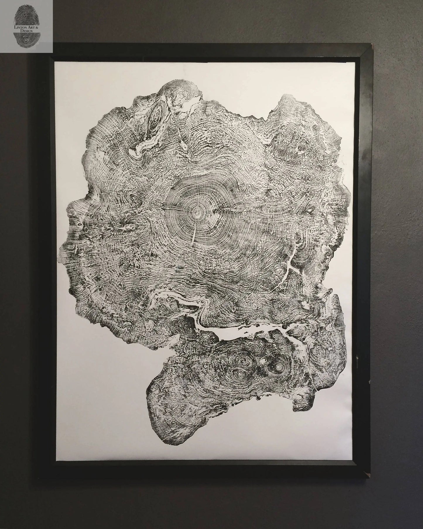 Big Leaf Maple, Tree ring print, Massachusetts art, Oversized tree ring Art, hand pressed tree rings, tree ring art print, Arborist art gift