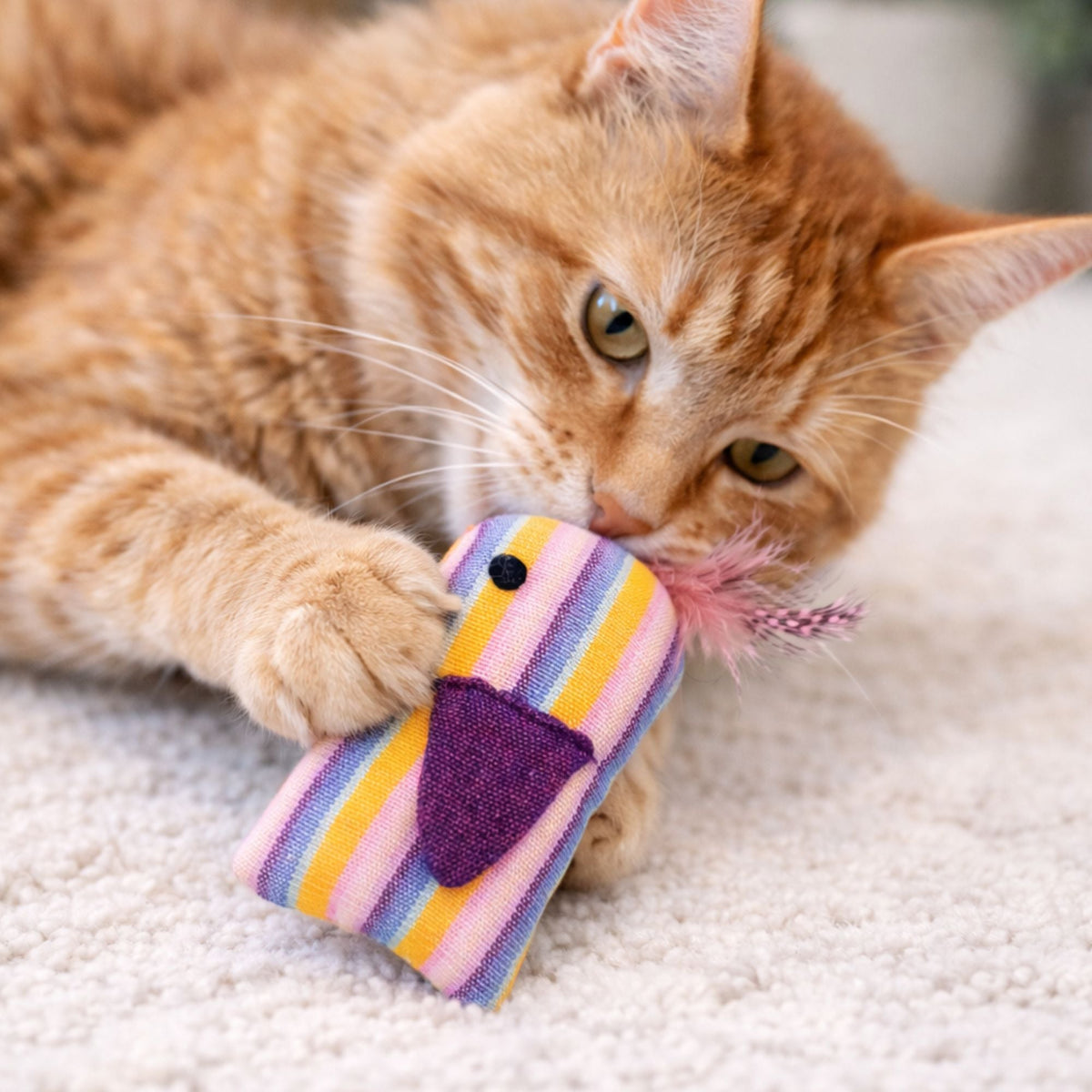 Organic Catnip Birdie Cat Toy