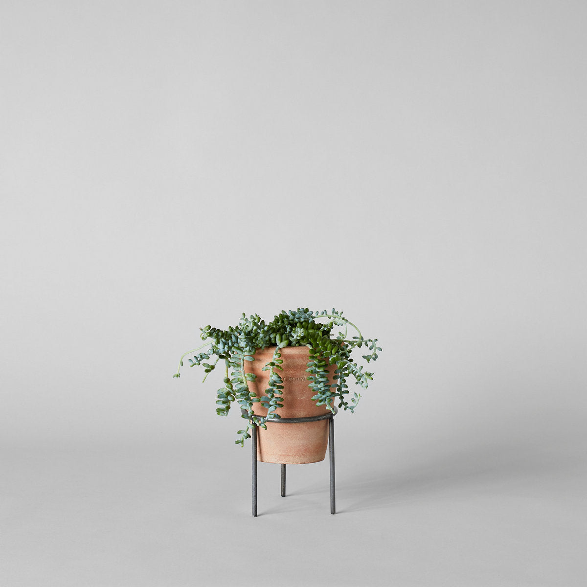 Wrought Iron Planter Stand