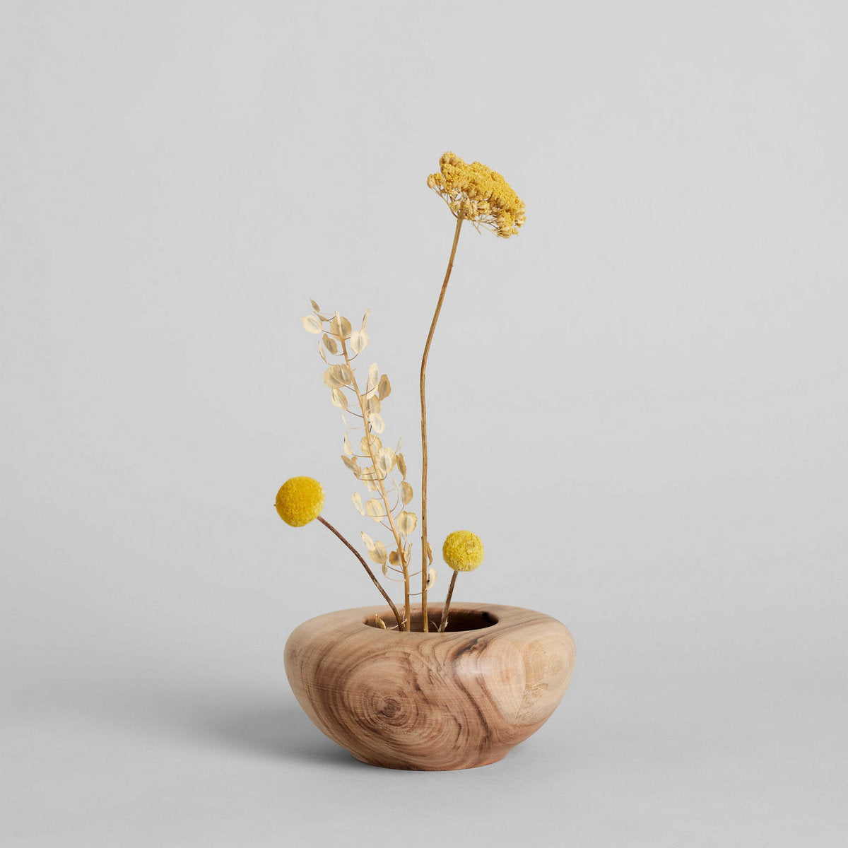 Dried Natural Yarrow