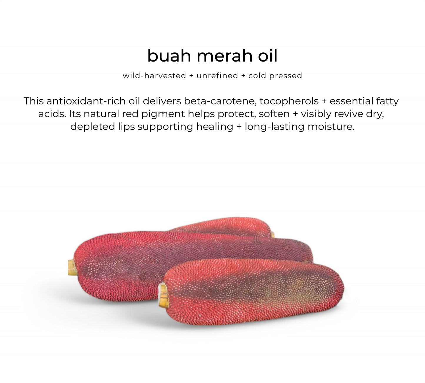 Lush lip oil duo