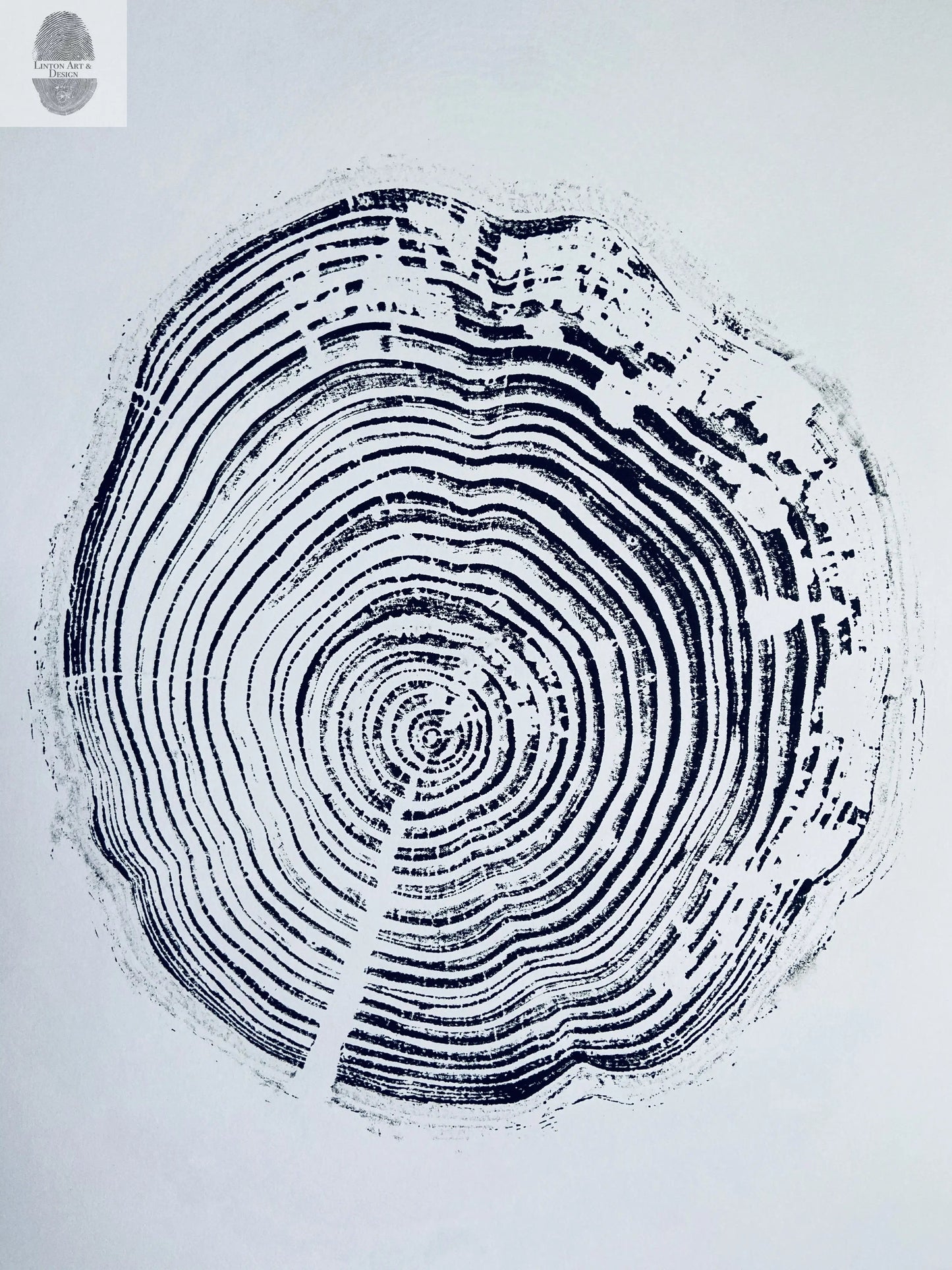 California Redwood, San Francisco, 30 years, 18x24 inch print, hand pressed print, tree ring art, wood slice, wedding tree, Woodcut print, by Erik Linton