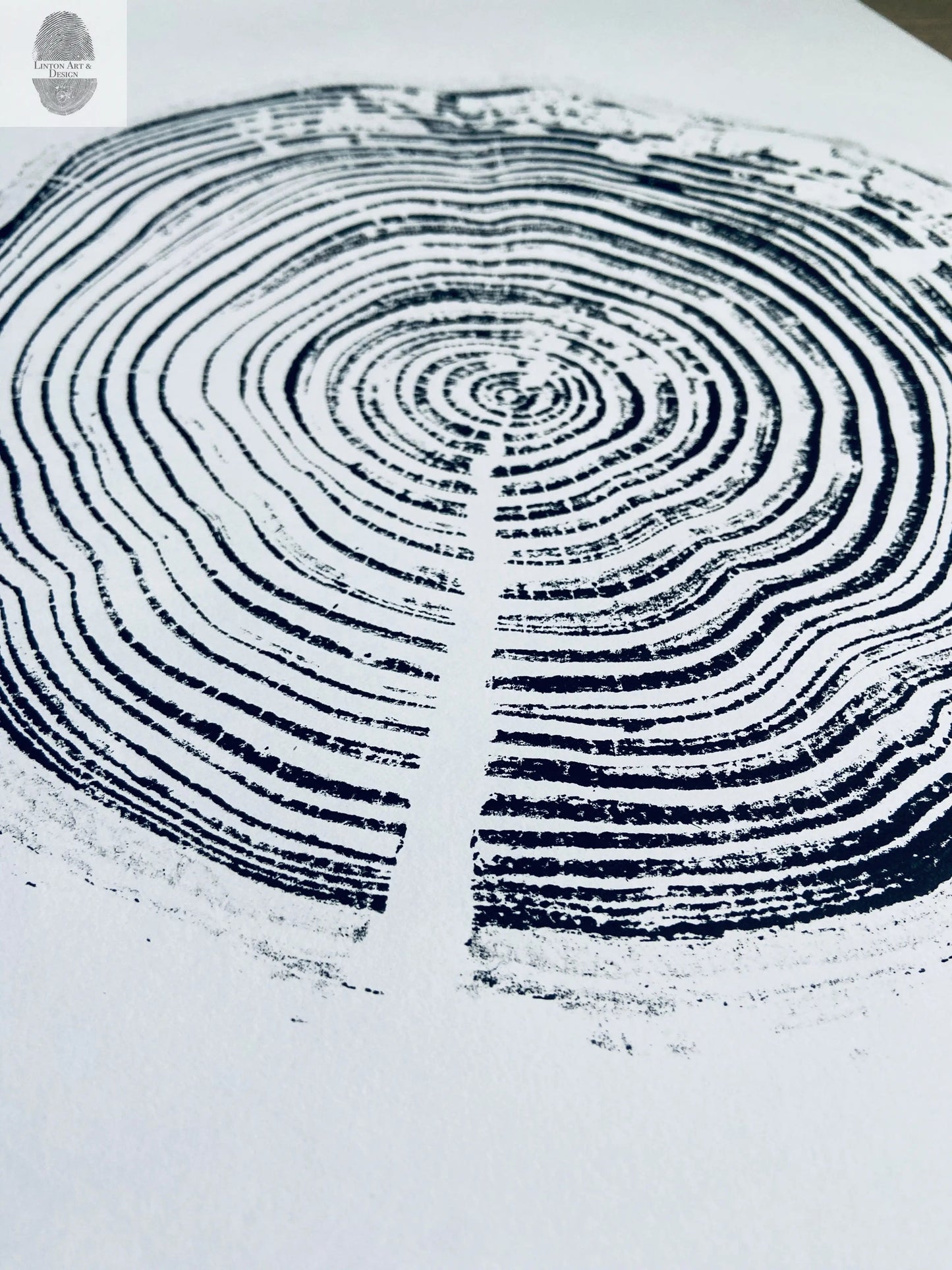 California Redwood, San Francisco, 30 years, 18x24 inch print, hand pressed print, tree ring art, wood slice, wedding tree, Woodcut print, by Erik Linton