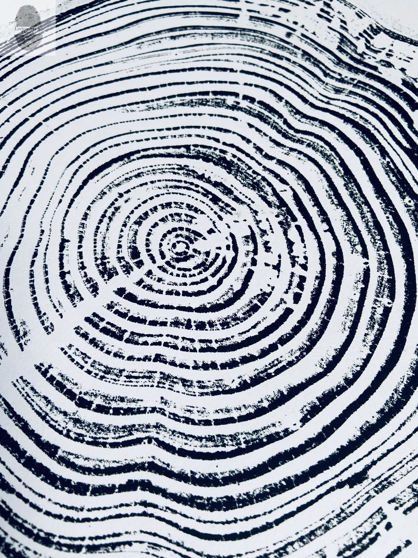 California Redwood, San Francisco, 30 years, 18x24 inch print, hand pressed print, tree ring art, wood slice, wedding tree, Woodcut print, by Erik Linton