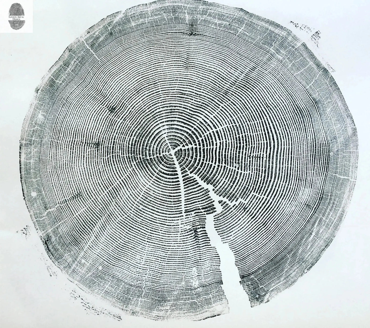 Crater Lake art, Oregon Print, Tree ring print, Woodcut print, Wood Wall art, Sacred Geometry, Forestry, National Parks, Signed Original