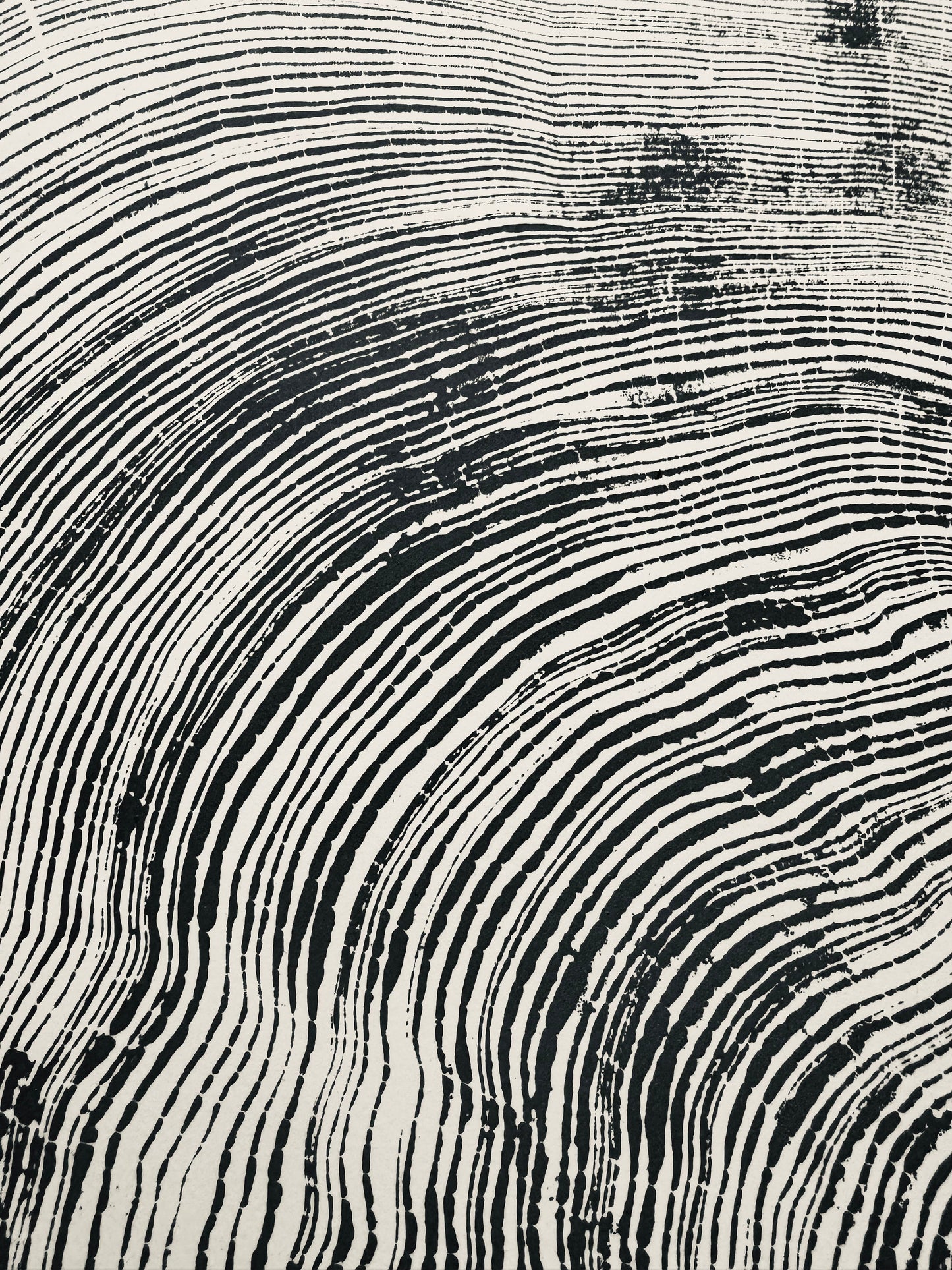 San Francisco, Real Redwood Art, 36x48 Inches. Original Signed artwork made from Real Redwood