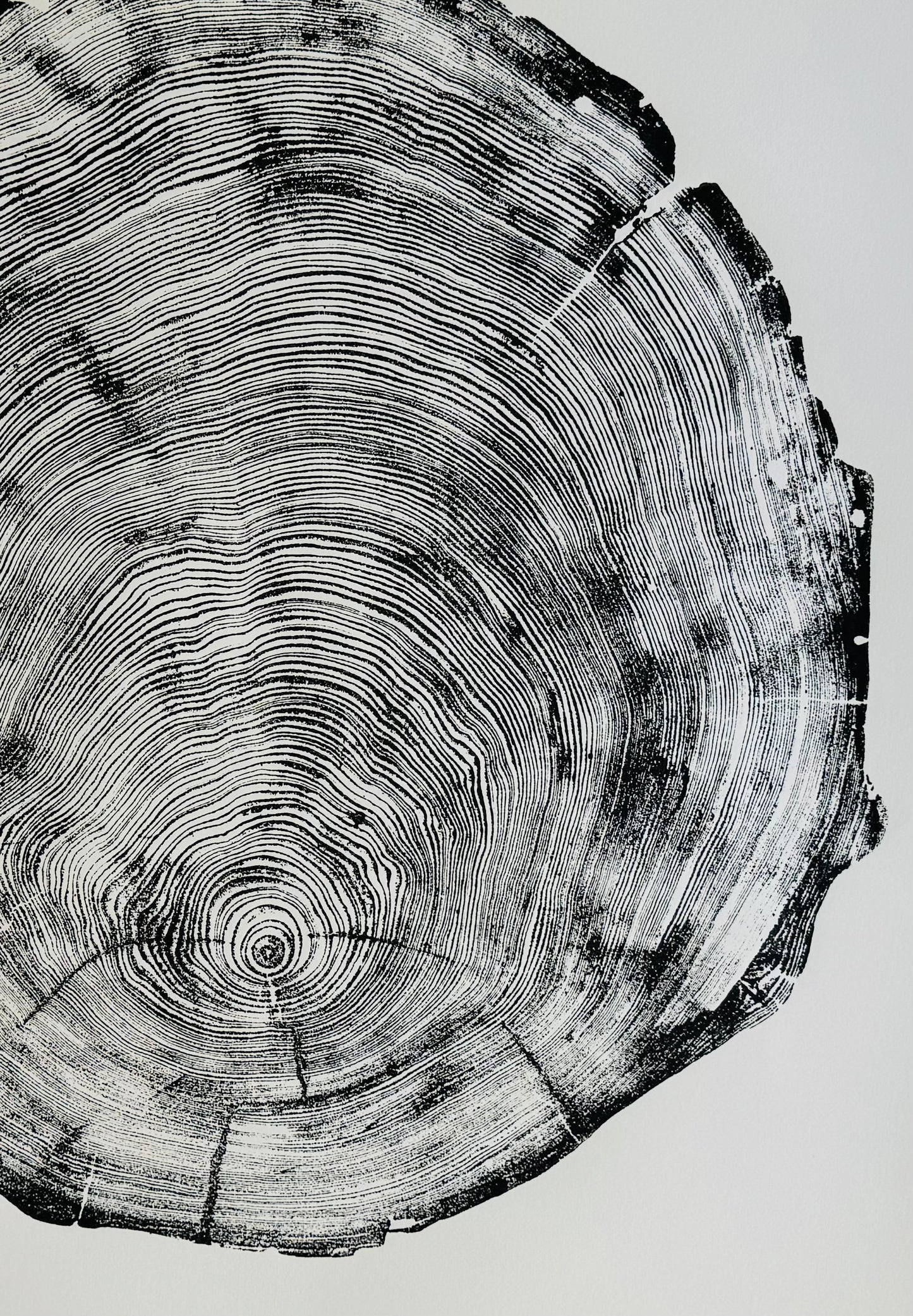 San Francisco, Real Redwood Art, 36x48 Inches. Original Signed artwork made from Real Redwood