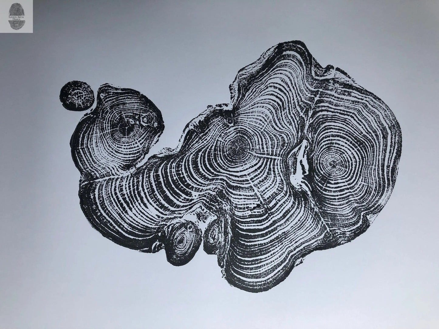 Cypress from Ireland, Tree ring art print, Tree stump print, first anniversary gift, 18x24 inch woodcut, fifth anniversary gift, Linton Art