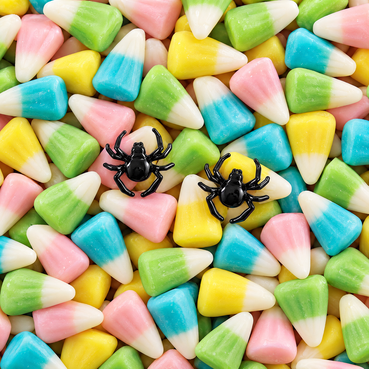 DEAL OF THE DAY: Too Cute to Spook Spider Earrings | Black Studs for Halloween, Spooky, Goth