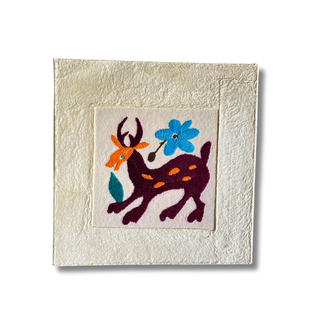 Otomí Amate Embroidered Assorted Art Textile Wall Decor Unframed - Mexico