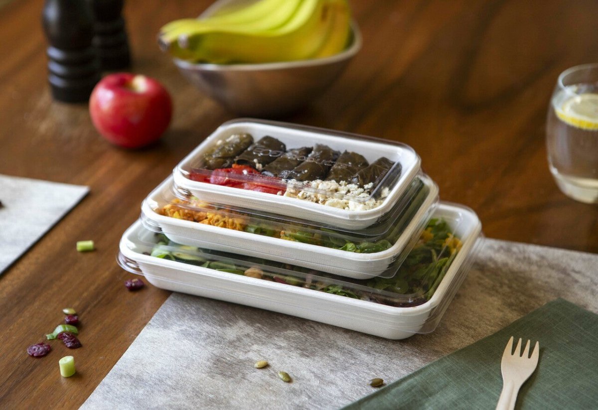 GreenStripe WorldView Renewable & Compostable Lid, Low Profile Vented, Fits 24 - 32oz Rectangle Molded Fiber Take-Out Containers (QTY:400)