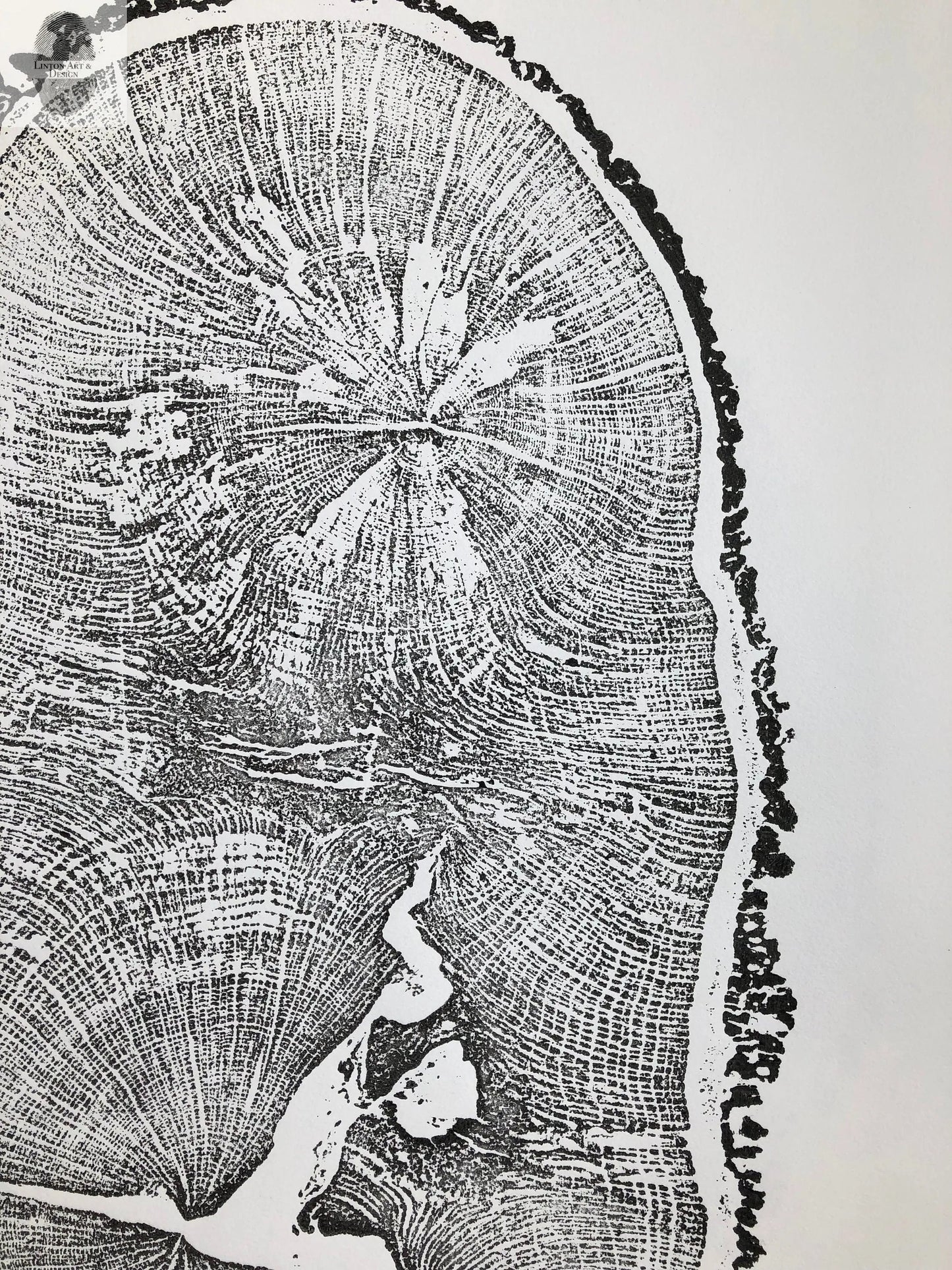 English Oak, Tree ring art print, Oak from Liverpool UK, Anniversary art, Tree ring art, Tree rings, Original Woodcut print by Erik Linton