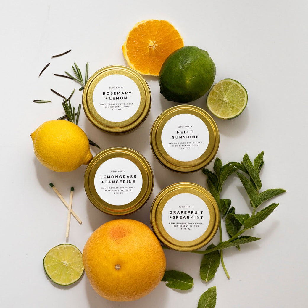 Fresh Collection - 4 Pack - Osadia Concept Store