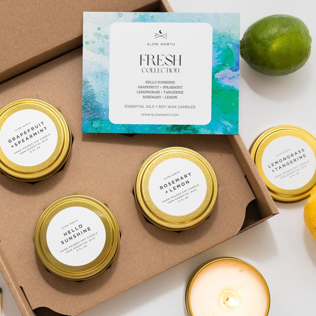 Fresh Collection - 4 Pack - Osadia Concept Store