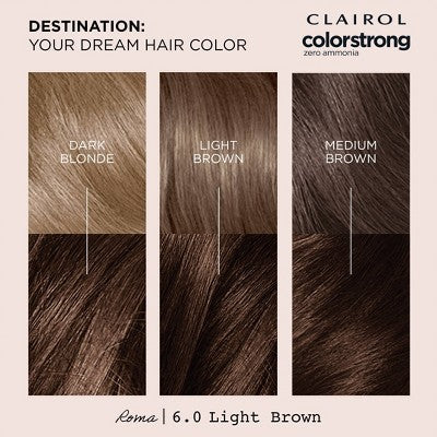 Clairol ColorStrong Permanent Hair Color Dye Kit 6 Light Brown - Imperfect Box