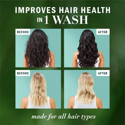 Herbal Essences Eucalyptus Sulfate Free Shampoo, For Dry Scalp 13.5 fl oz - Imperfect Container