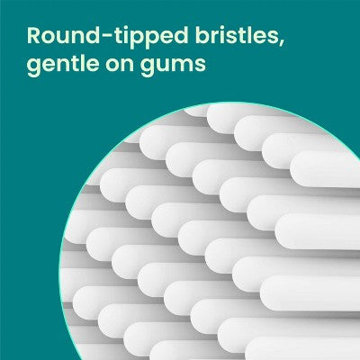 quip Rev Oscillating Brush Head Refill White 2pk - Imperfect Box
