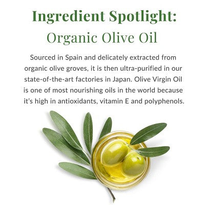 DHC Olive Virgin Oil Essential Moisturizing Cream 1.7 fl oz - Imperfect Box