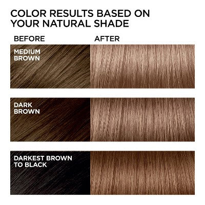 L'Oreal Paris Feria Shimmering Color B61 Hi-Lift Cool Brown 1 Kit - Imperfect Box