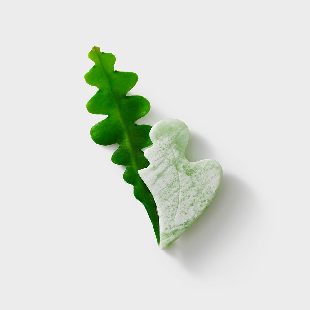 Gua Sha - Osadia Concept Store