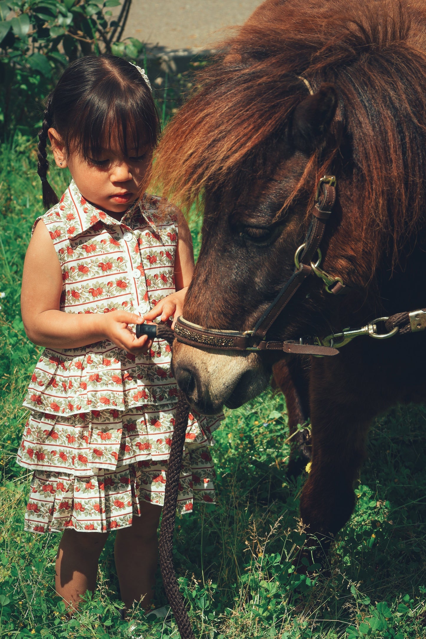 Antoinette Dress- Crimson Harvest