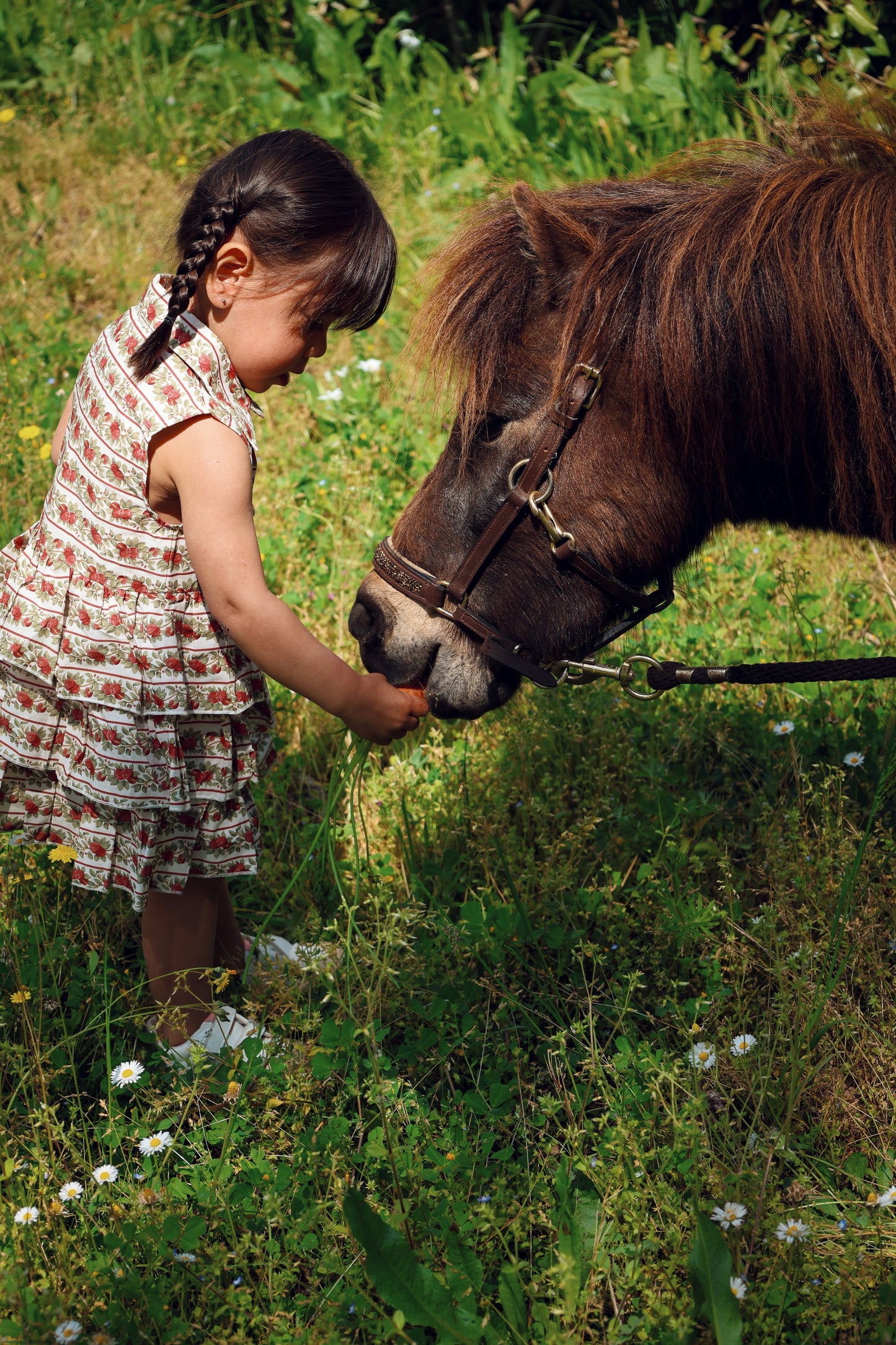 Antoinette Dress- Crimson Harvest