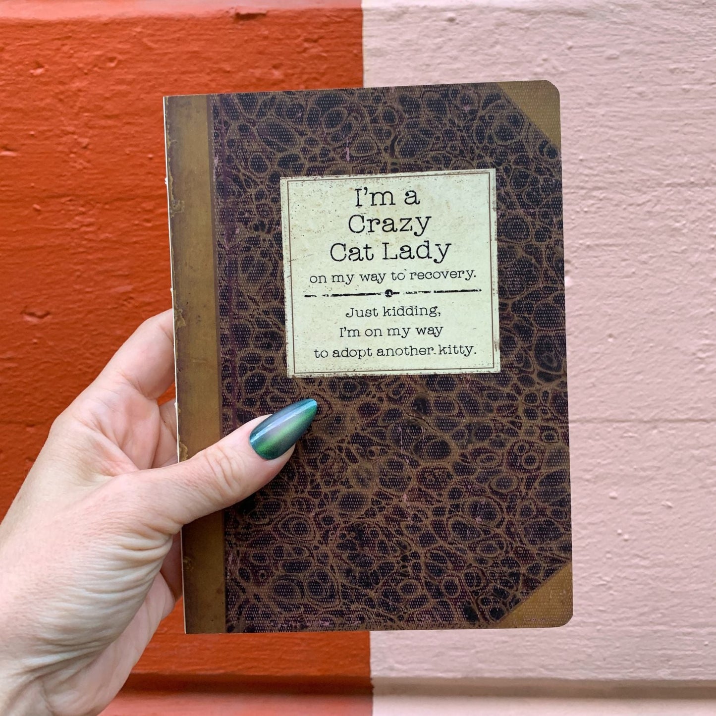 I'm A Crazy Cat Lady On My Way To Recovery Journal  | Vintage Book Designs Notebook