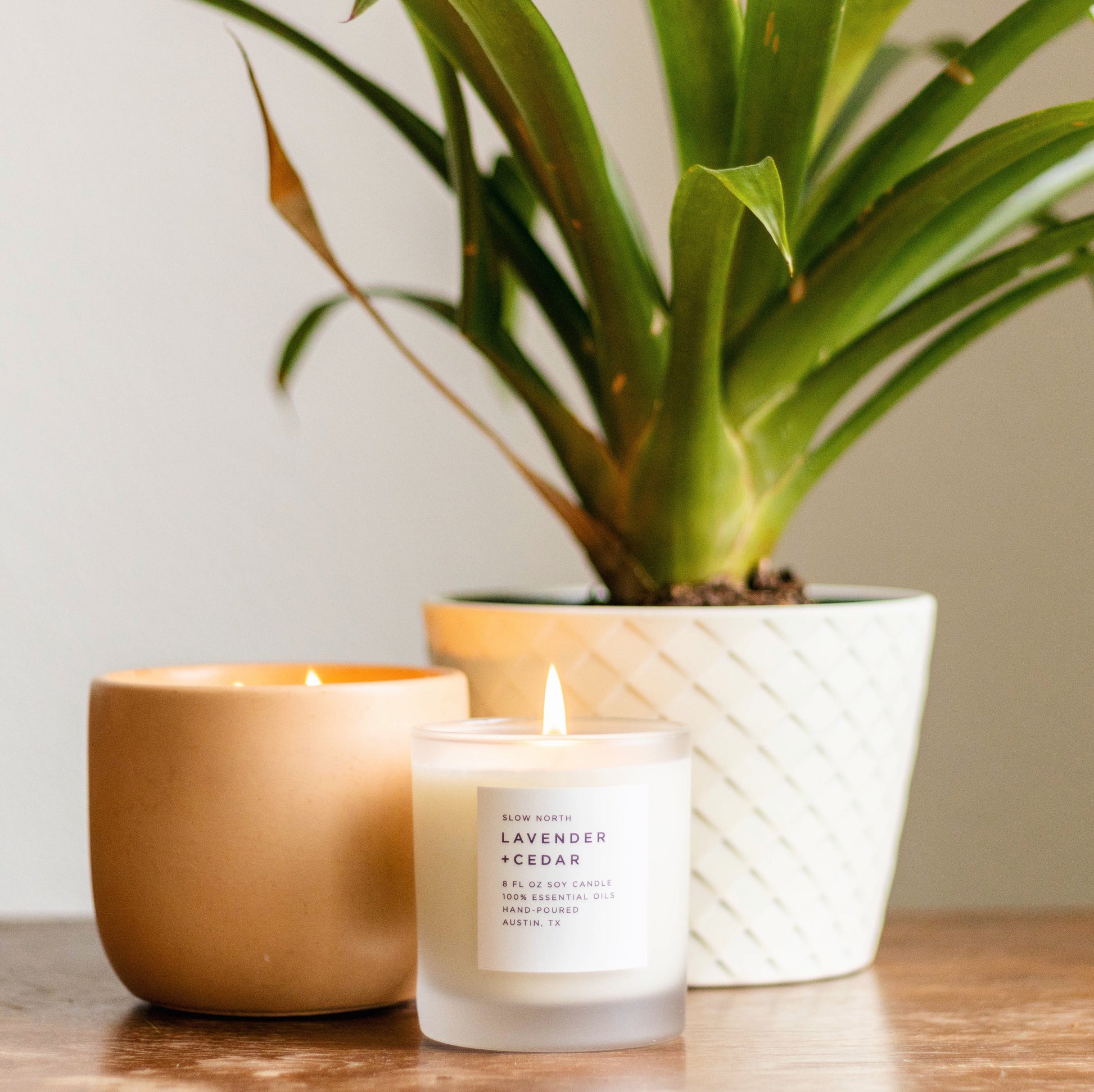 Lavender + Cedar - Signature Candle - Osadia Concept Store
