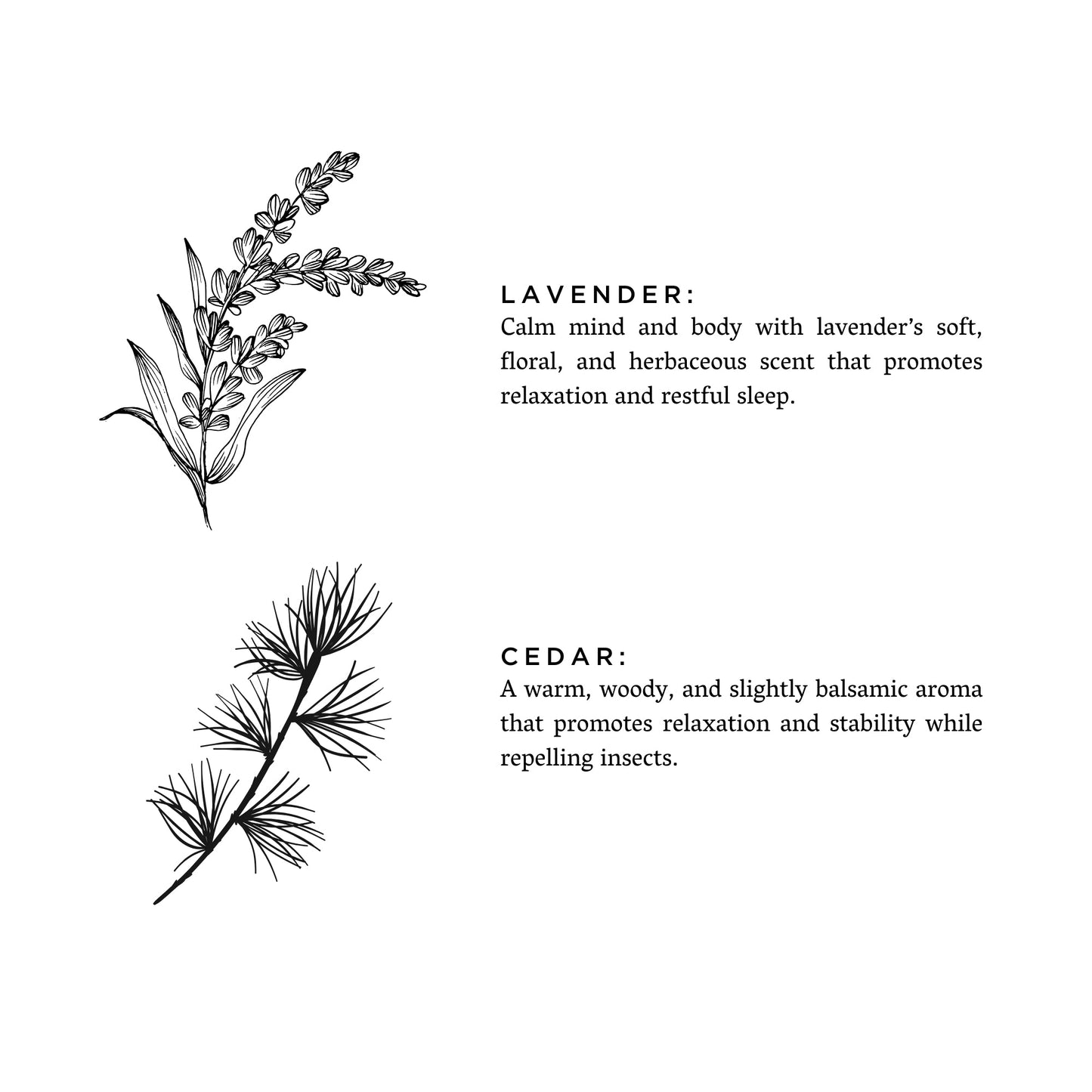 Lavender + Cedar - Signature Candle - Osadia Concept Store