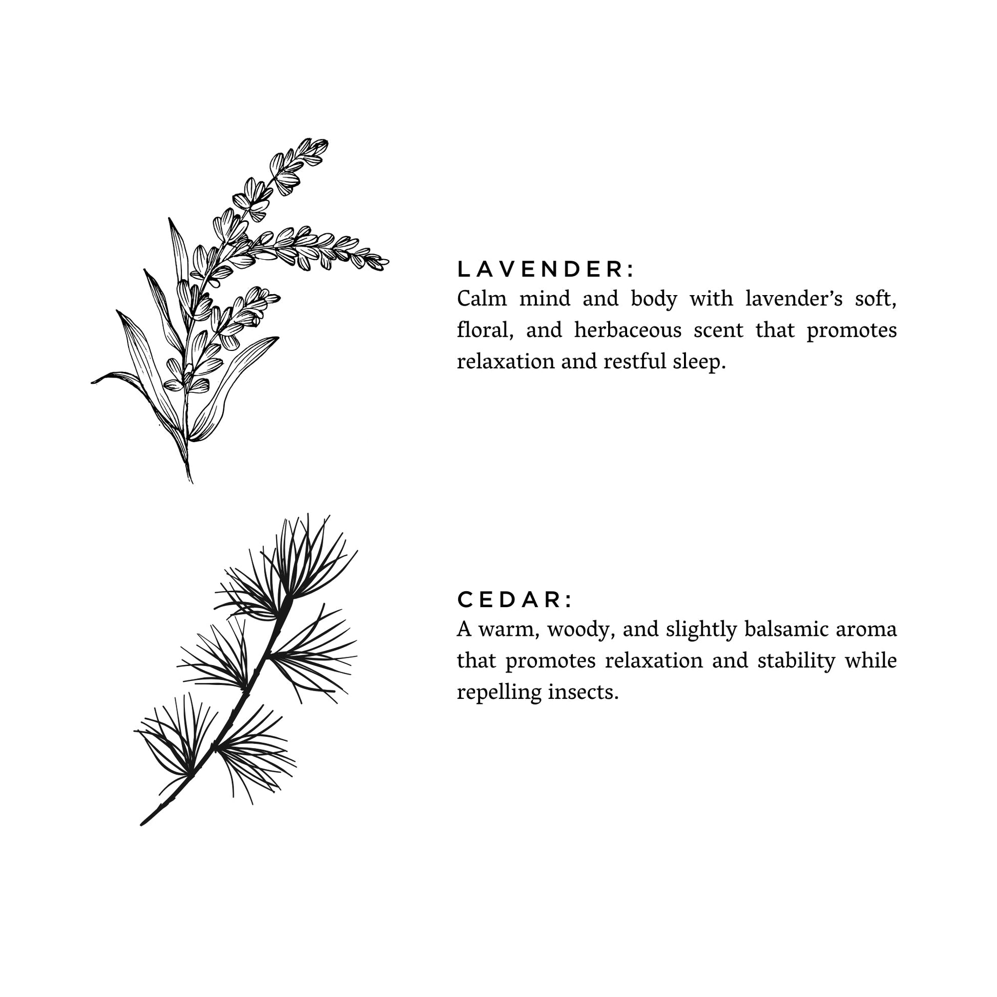 Lavender + Cedar - Signature Candle - Osadia Concept Store