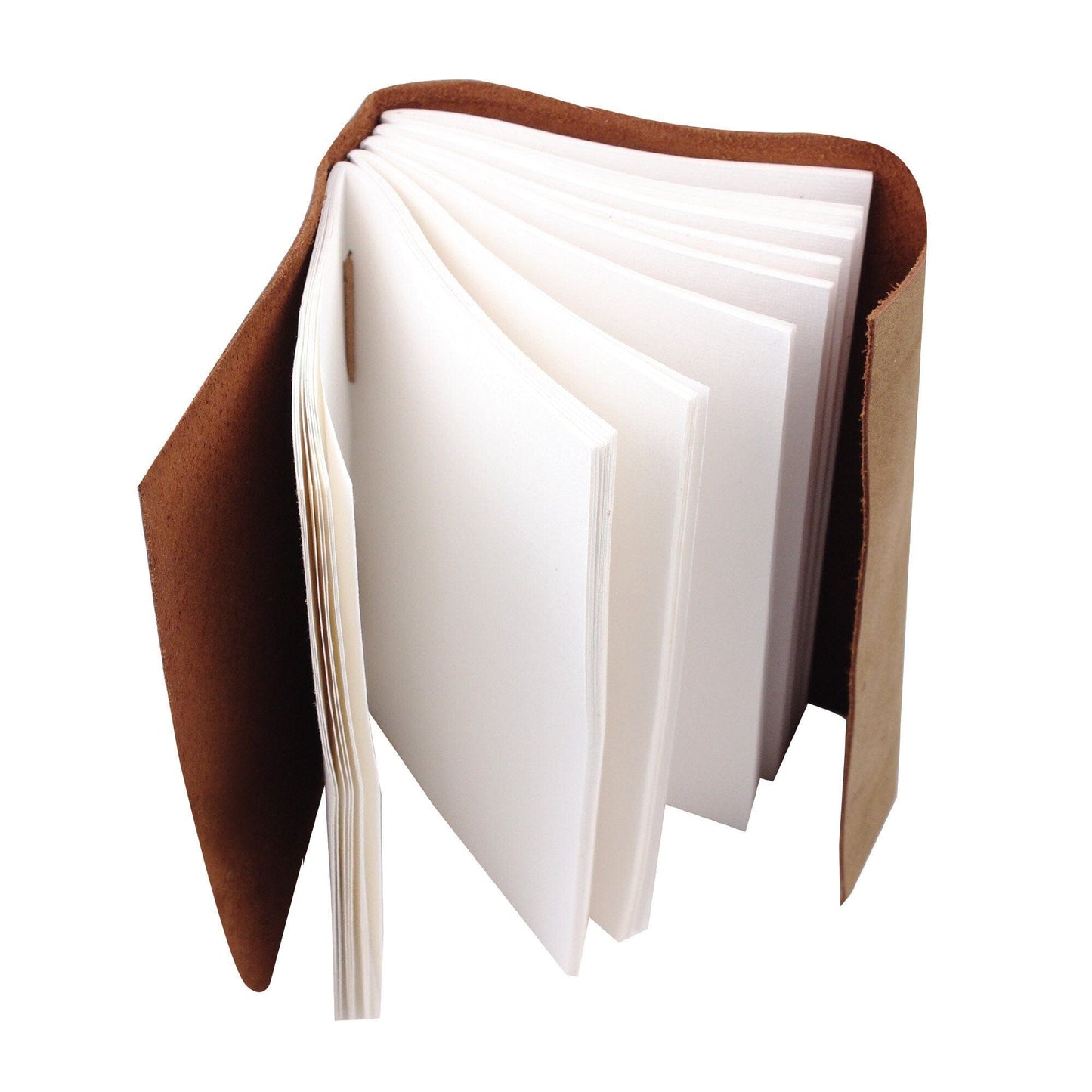 The Sapling Notebook - Osadia Concept Store