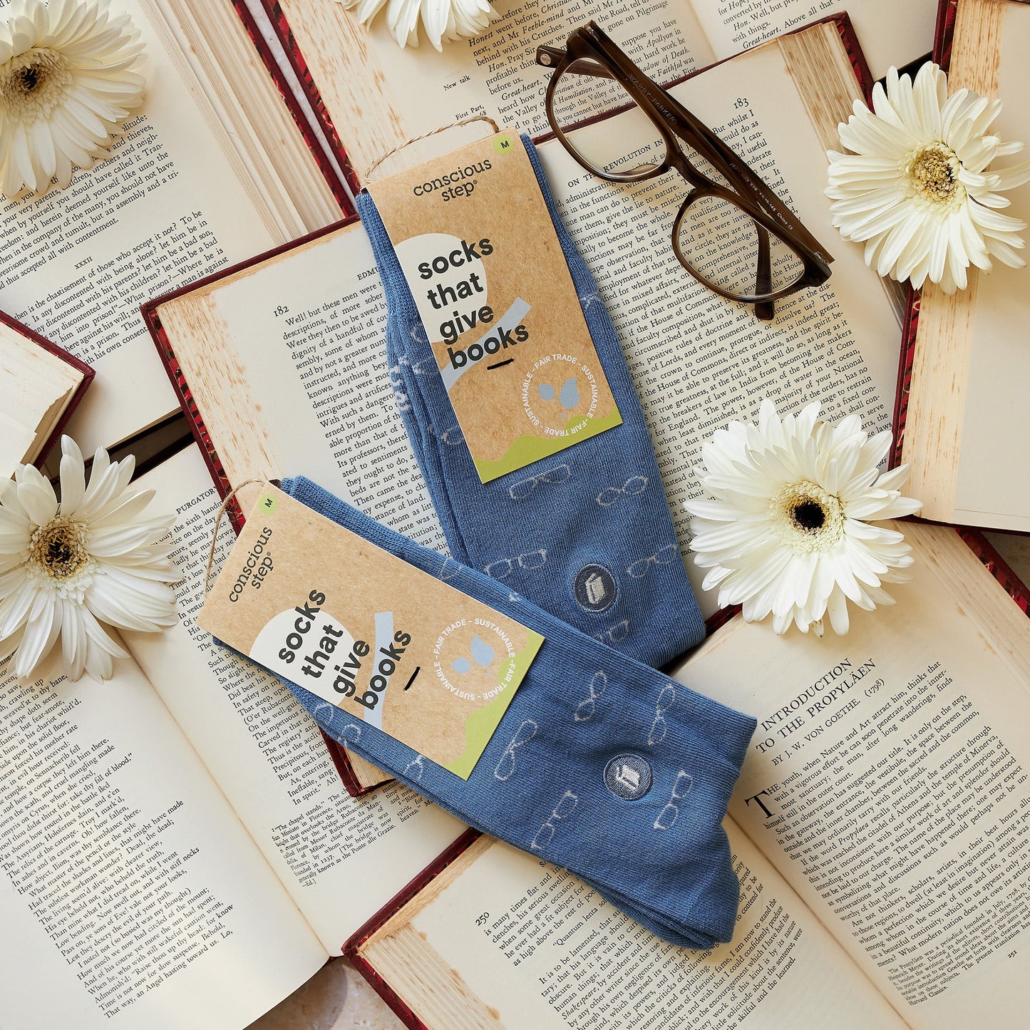 Socks that Give Books