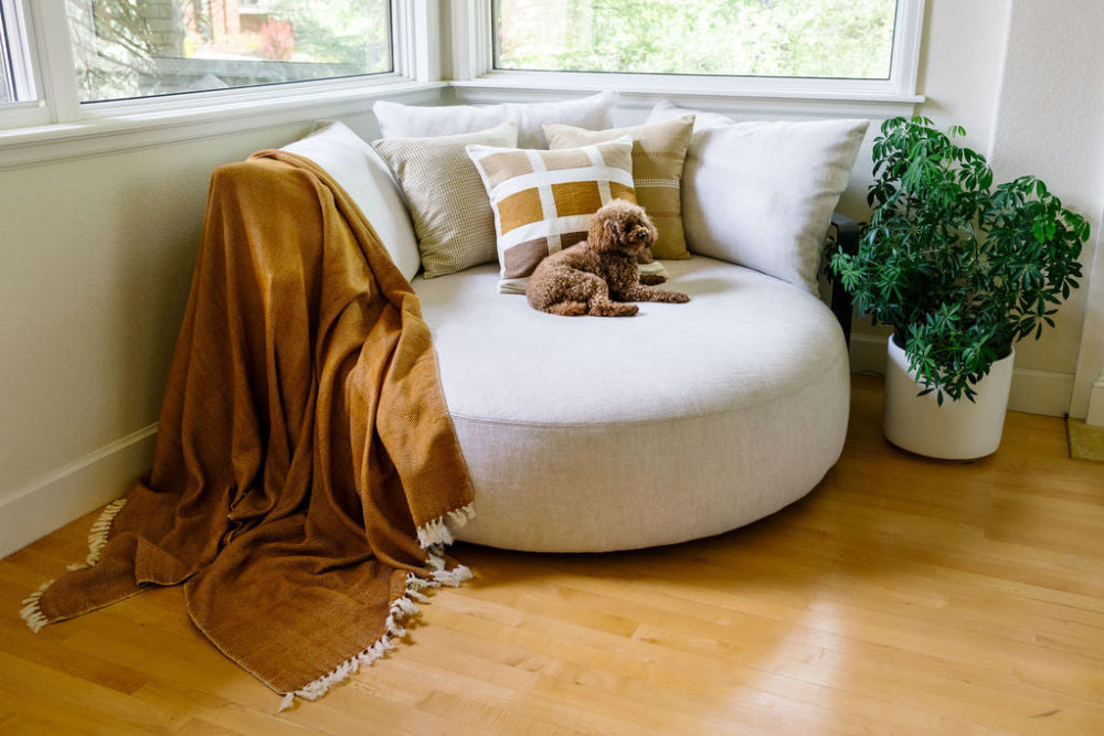 Mechot Handwoven Ethiopian Cotton Throw Blanket