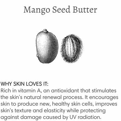 Midnight Muse Mini Hand Repair Balm | Handmade + Cruelty-Free | Nourishing Hand Cream | 20ml