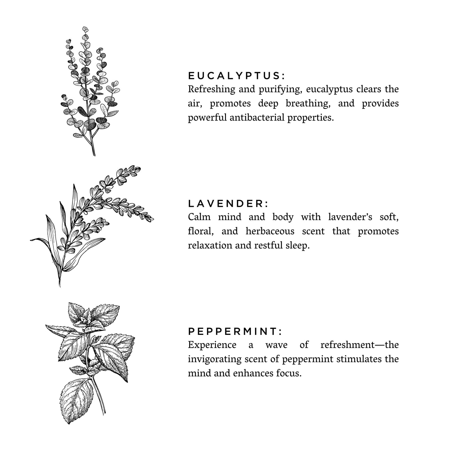 Of The Sea - Signature Candle (Eucalyptus + Lavender + Peppermint) - Osadia Concept Store