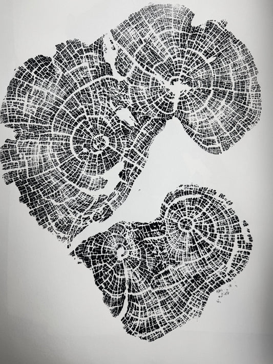 Old Growth Juniper Tree Ring Print – Boulder, Utah (Grand Staircase) – 24x36 Original Signed