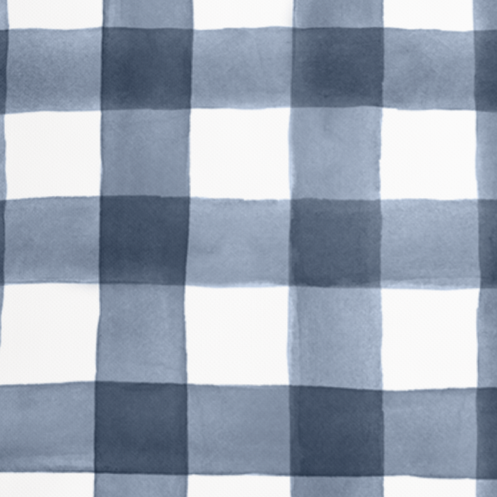 PbP Classic Navy Check Pillow