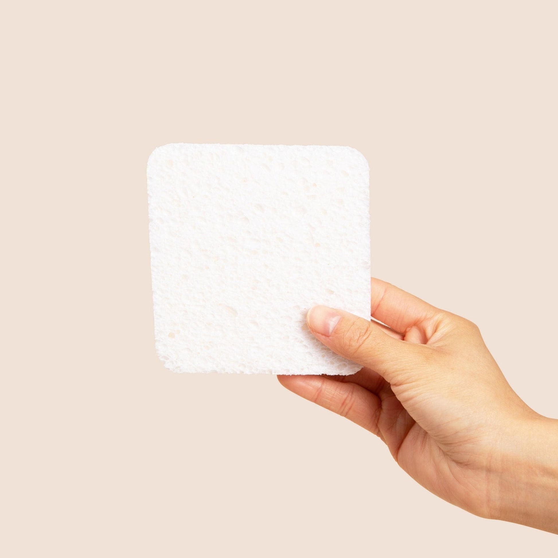 NoPlastic™ Soak Sponge - Osadia Concept Store