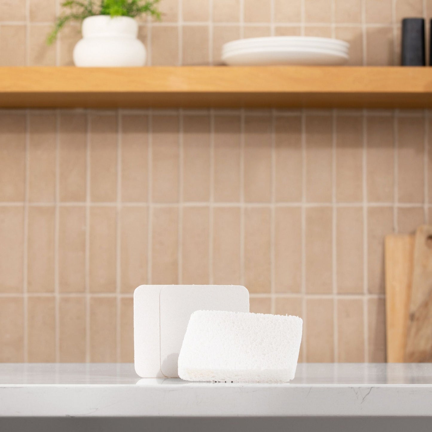 NoPlastic™ Soak Sponge - Osadia Concept Store