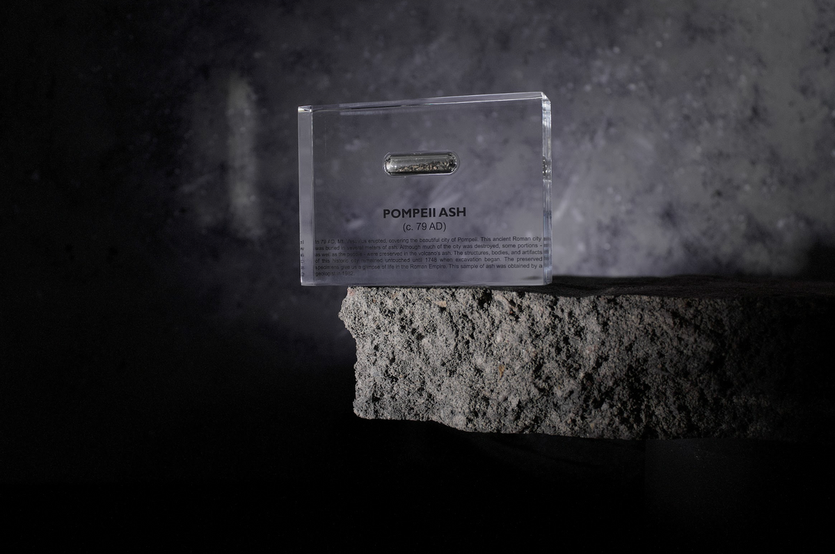 Pompeii Ash Artifact Display
