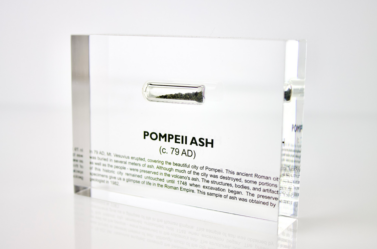 Pompeii Ash Artifact Display