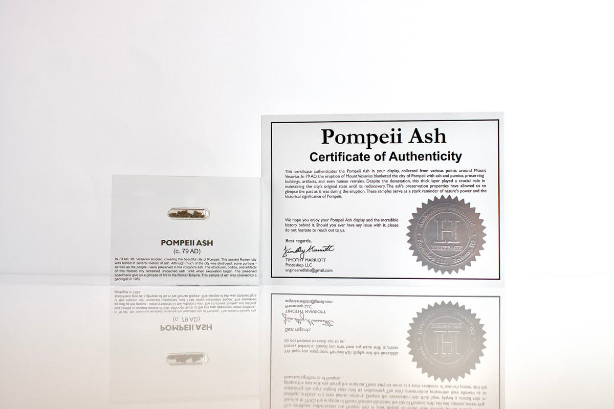 Pompeii Ash Artifact Display