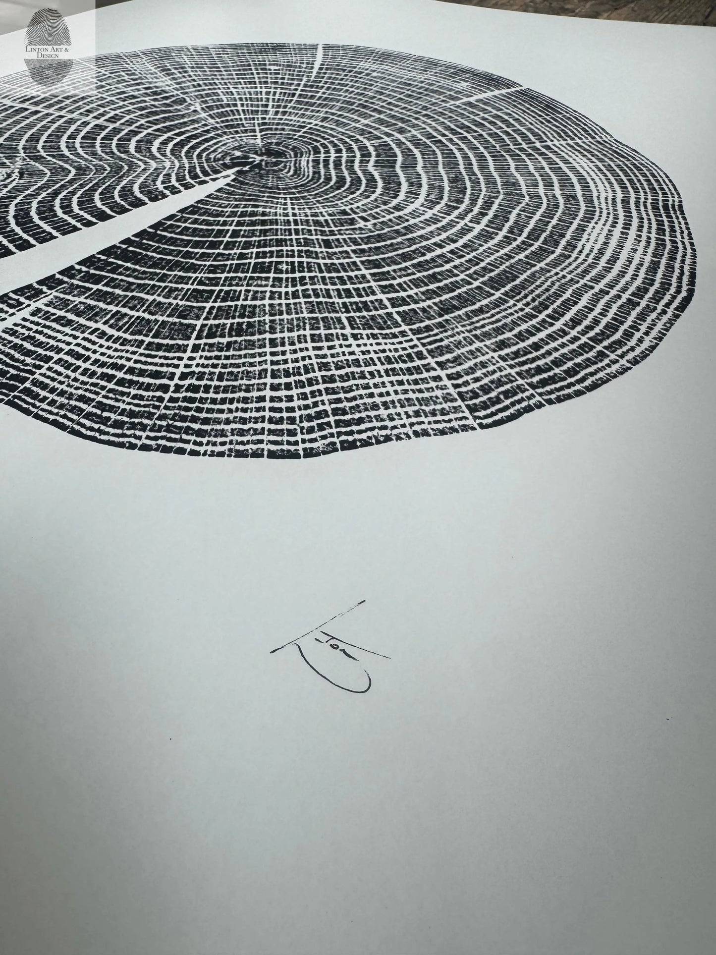 Red Oak Tree Ring Print – Spartanburg County, SC – 18x24 Original Signed Woodcut