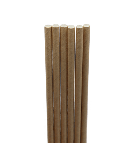 World Centric 8" Kraft Paper Straw (QTY:6000)
