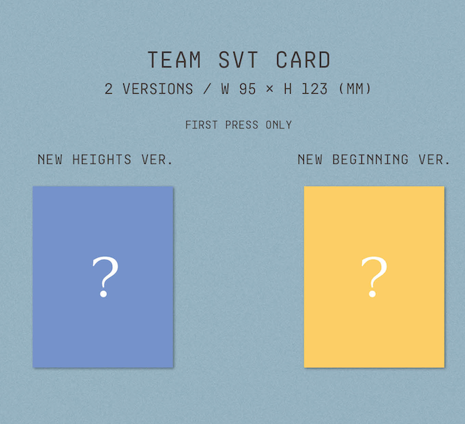 Seventeen 4th  Repackage Album [Sector 17]