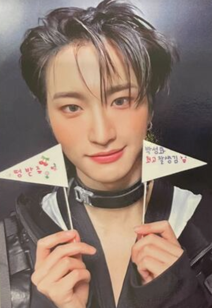 ATEEZ The World Ep.Fin:  Will Official Pob Photocards