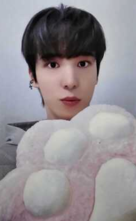 ATEEZ Golden Hour - Official Pob Photocards (Paw Version)